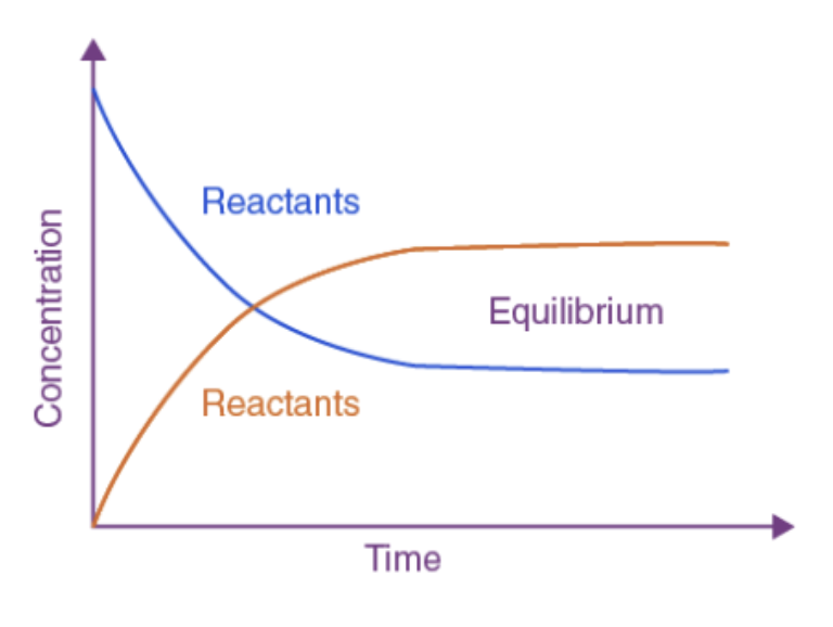 Chemical Equilibrium